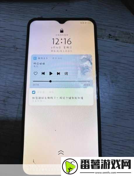 成色好的y31s标准版人民