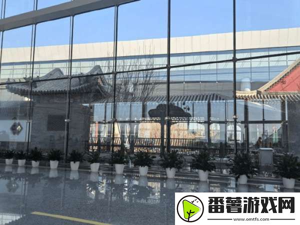 出国度假