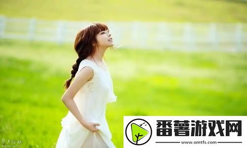 人狗大战2高清正版免费：经典搞笑回归，带你体验激烈对抗！