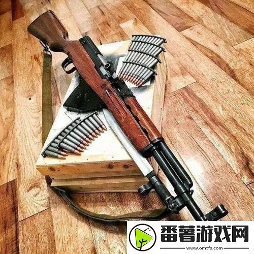 “朝鲜家伙的火器秀