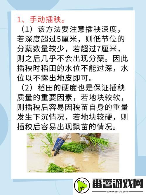 夫妻插秧38种方法图片大全，网友