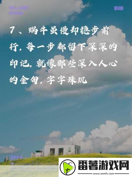 揭秘最强蜗牛锁眼侦察卫星