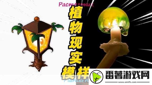 三叶草gw4441-1.-三叶草gw4441：探索未来植物基因的奥秘