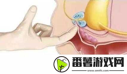 正确走后门的方法视频