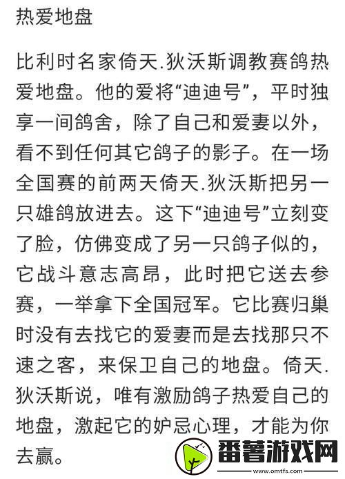 科技江湖-双峰对决：创新激战下的巅峰探秘