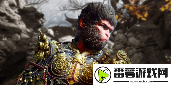 无脑黑神话粉丝
