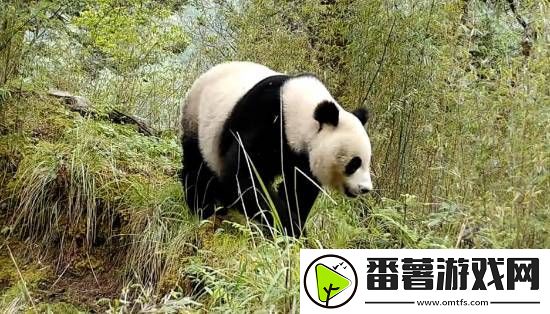 你敢信吗