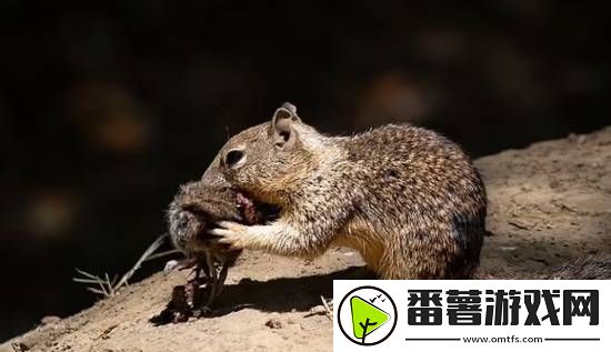 你敢信吗