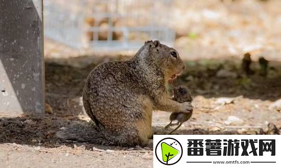 你敢信吗
