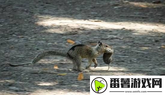 你敢信吗