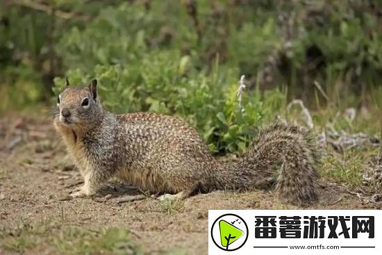 你敢信吗