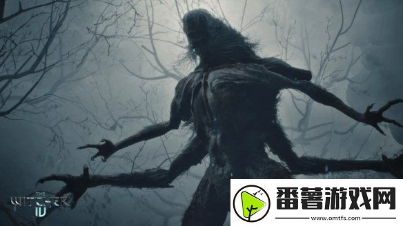 巫师4总监