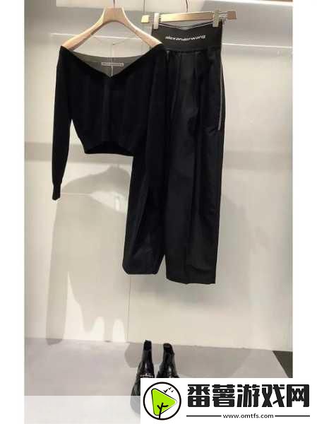 alexanderwang妈妈：当然可以-以下是一些基于alexander-wang妈妈的主题扩展出的新