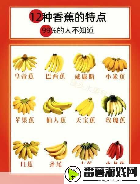 国产香蕉和进口香蕉的价格比较