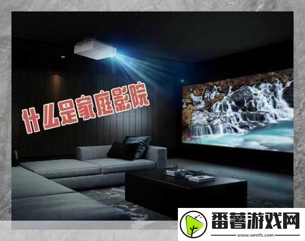 私人家庭影院335