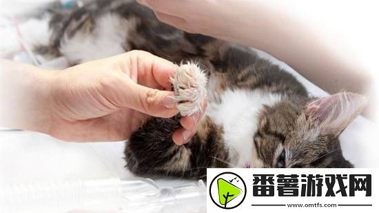 你怎么看