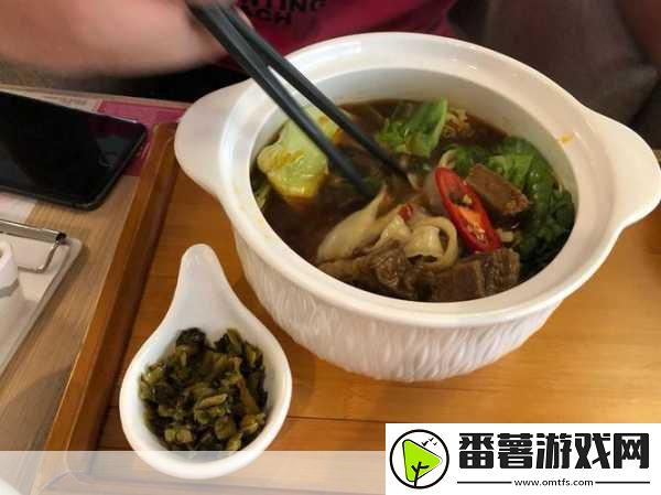 16岁macbookpro日本与仙踪林展开多项合作